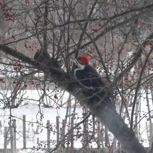 Meet your Posher, Martha